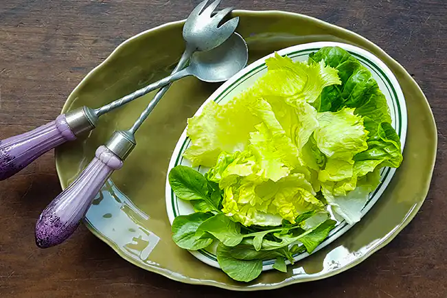 por que minha salada murcha rápido