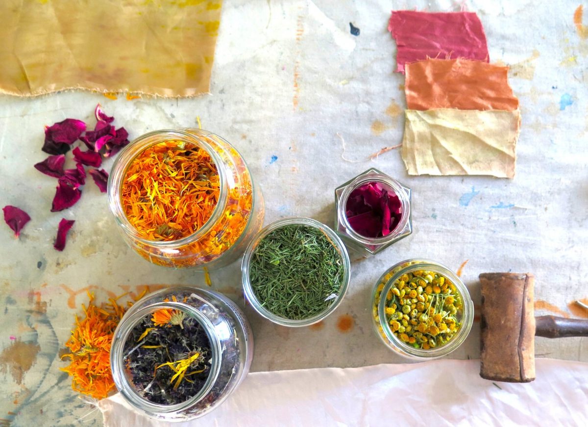 Guia Completo de Mordentes Naturais para Tingimento