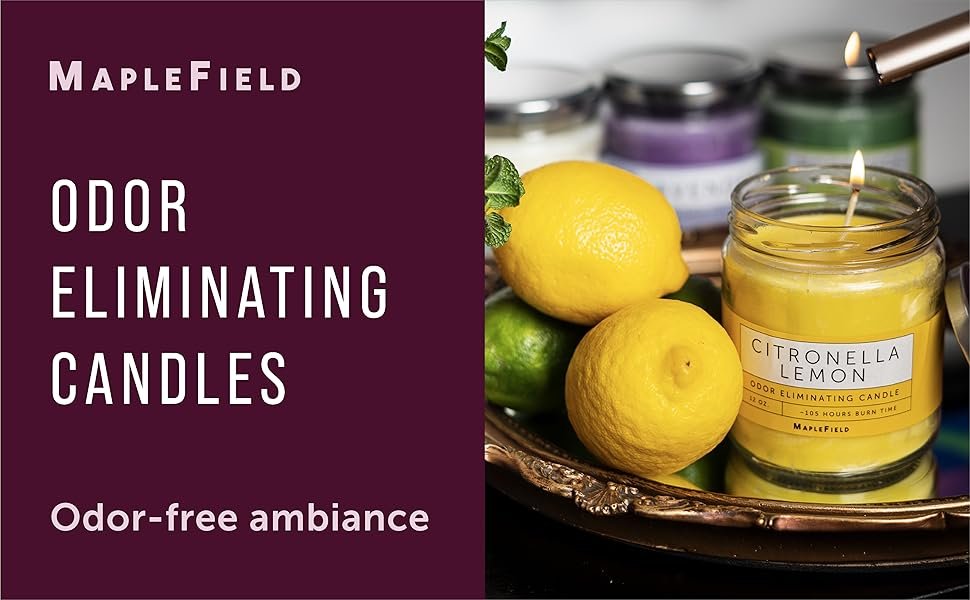 como tirar cheiro de cigarro do ambiente