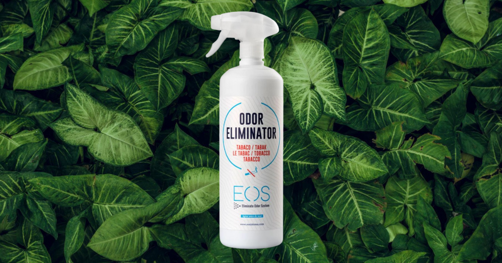 eliminar cheiro de cigarro em casa