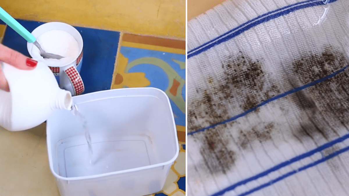 5 Dicas Infalíveis para Remover Mofo de Roupas Brancas