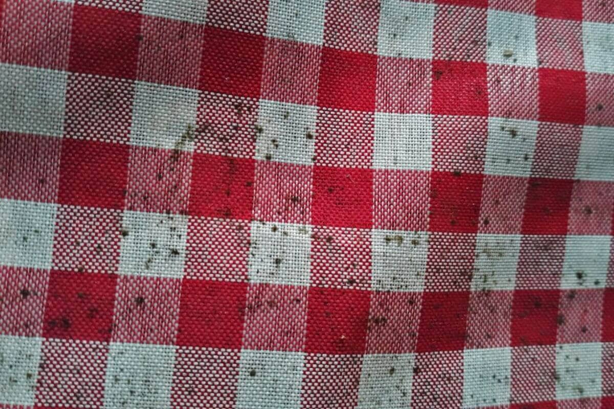 5 Dicas Infalíveis para Remover Mofo de Roupas Brancas