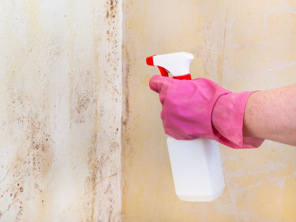 limpar mofo de parede com vinagre