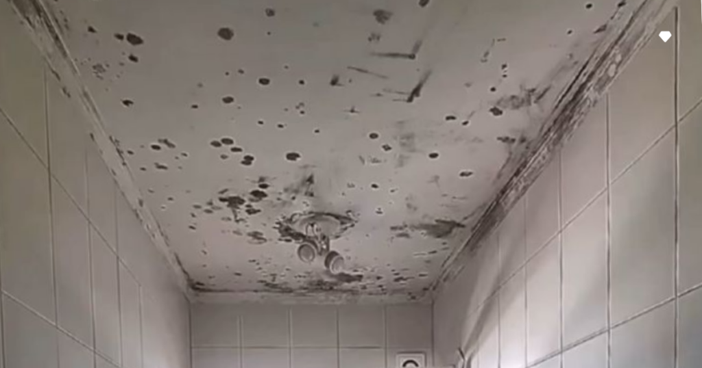 como tirar mofo de parede rápido