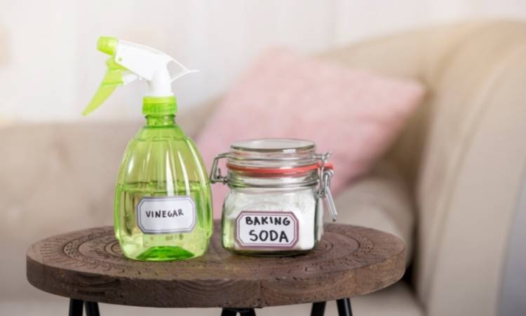 limpar mofo de parede com vinagre