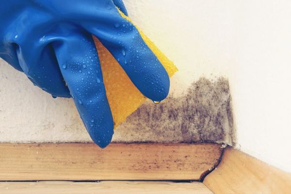 receita caseira para tirar mofo de parede