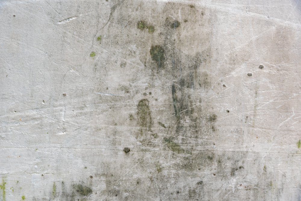 limpar mofo de parede com água sanitária