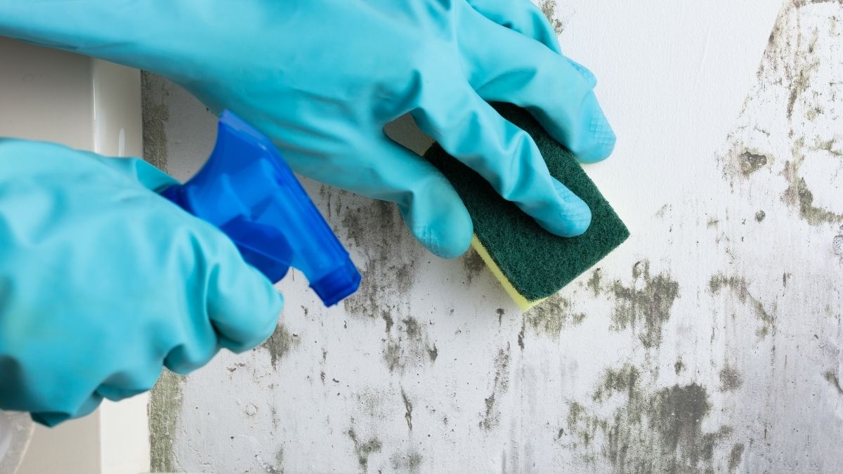 limpar mofo de parede com vinagre