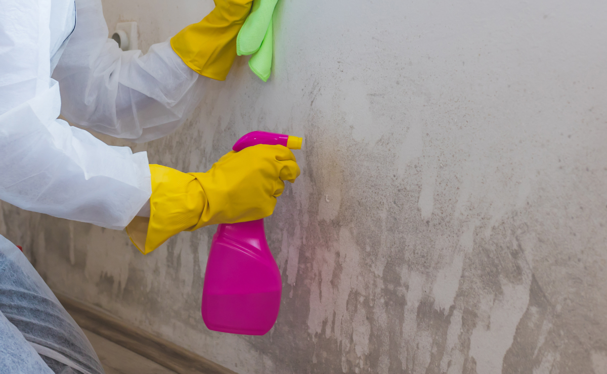como tirar mofo da parede 3