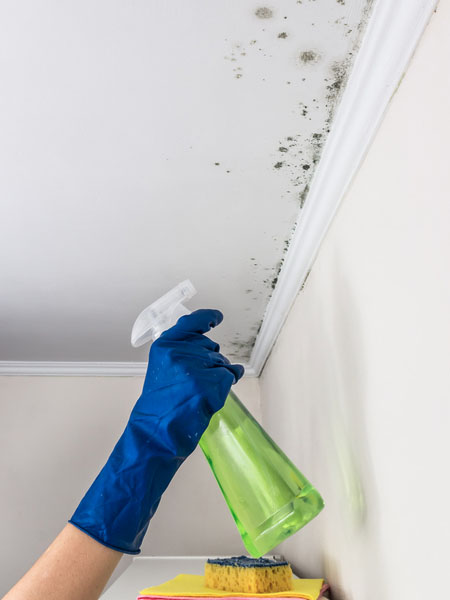 limpar mofo de parede com água sanitária