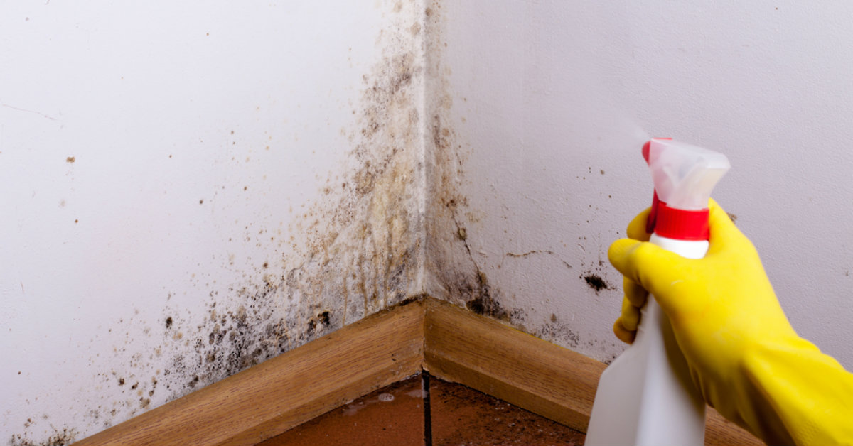 limpar mofo de parede com água sanitária