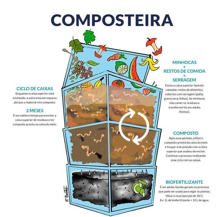 compostagem caseira