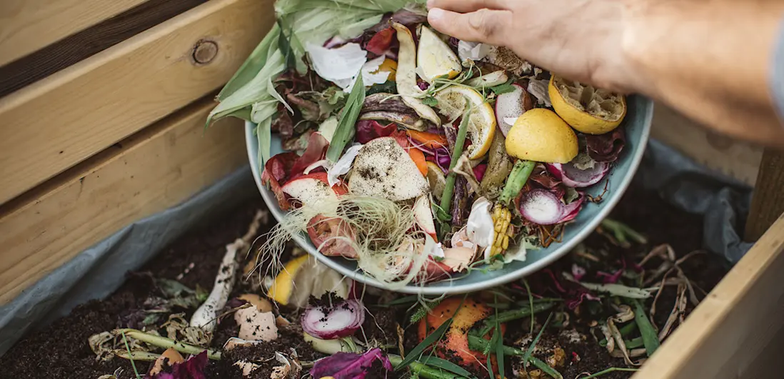 Passo a Passo: Montando Sua Composteira de Baldes e Produzindo Biofertilizante