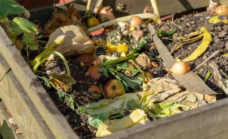 o que pode e o que não pode compostar em casa