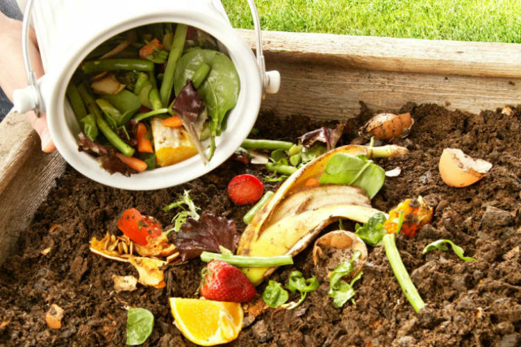 compostagem com ou sem minhocas qual escolher