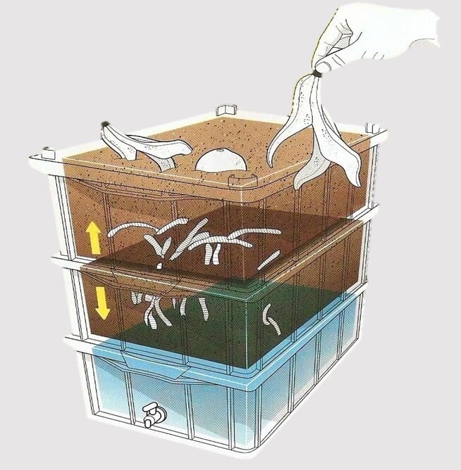 chorume orgânico como fertilizante líquido