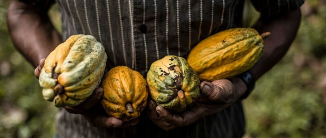 Guia Completo: Como Obter a Certificação Fairtrade para Sua Produção