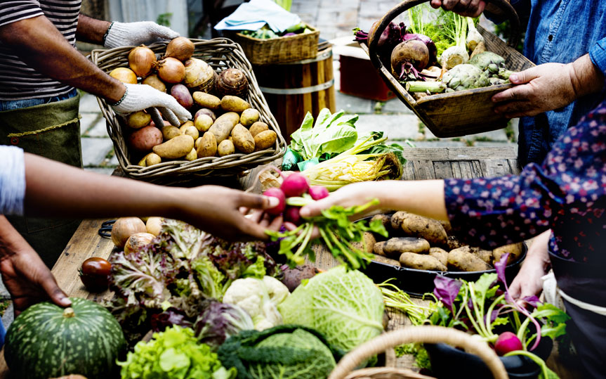 O Impacto do Prêmio Fairtrade nas Comunidades Agrícolas