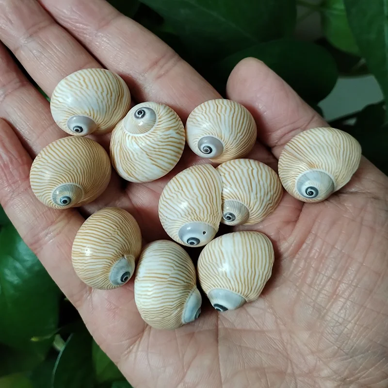 Conchinha: Como Evitar o Braço Dormente e Aproveitar ao Máximo