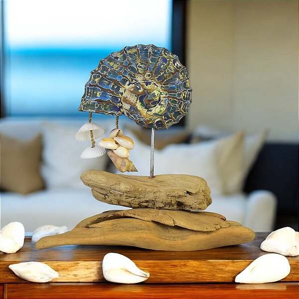 Conchinha Maior vs. Conchinha Menor: Qual Posição é a Sua?