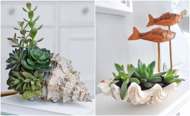 Conchinha Maior vs. Conchinha Menor: Qual Posição é a Sua?