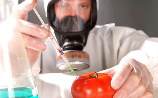 conservantes e riscos à saúde