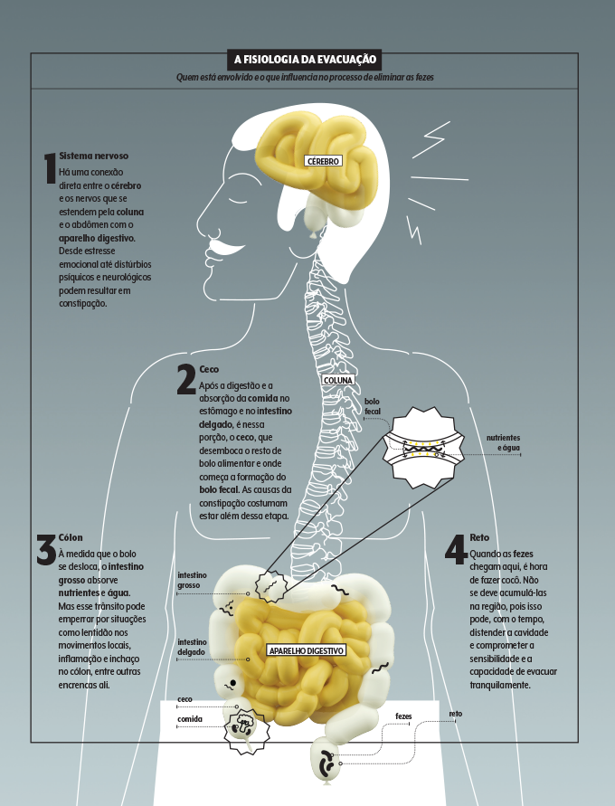 constipação crônica