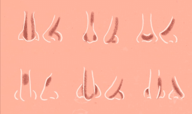 pincéis ideais para contorno nasal