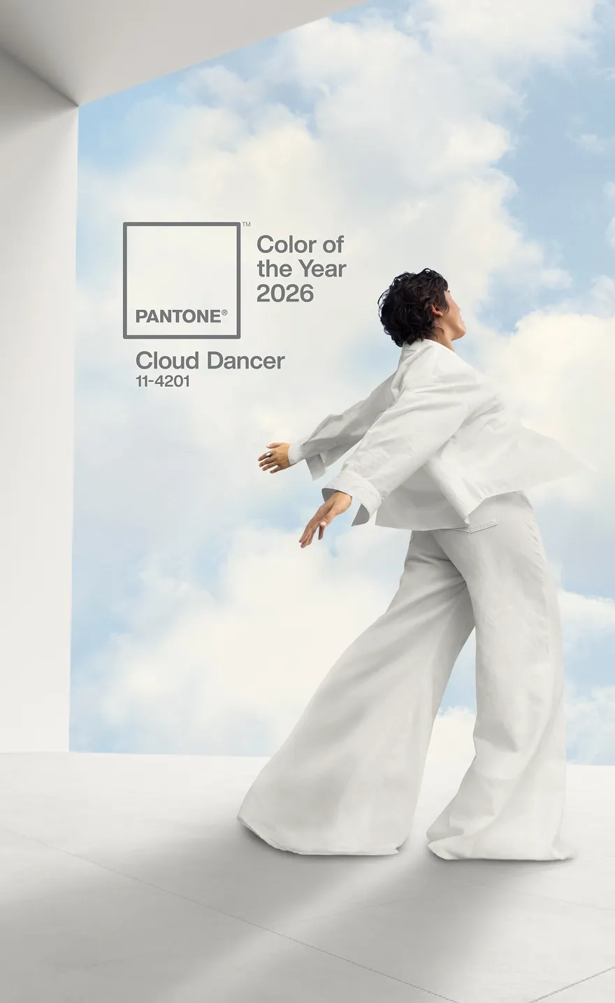 cores para decoração 2026