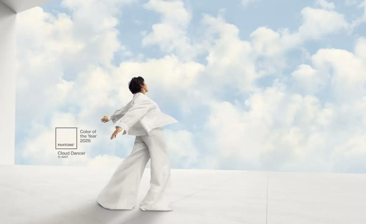 paleta de cores ano novo