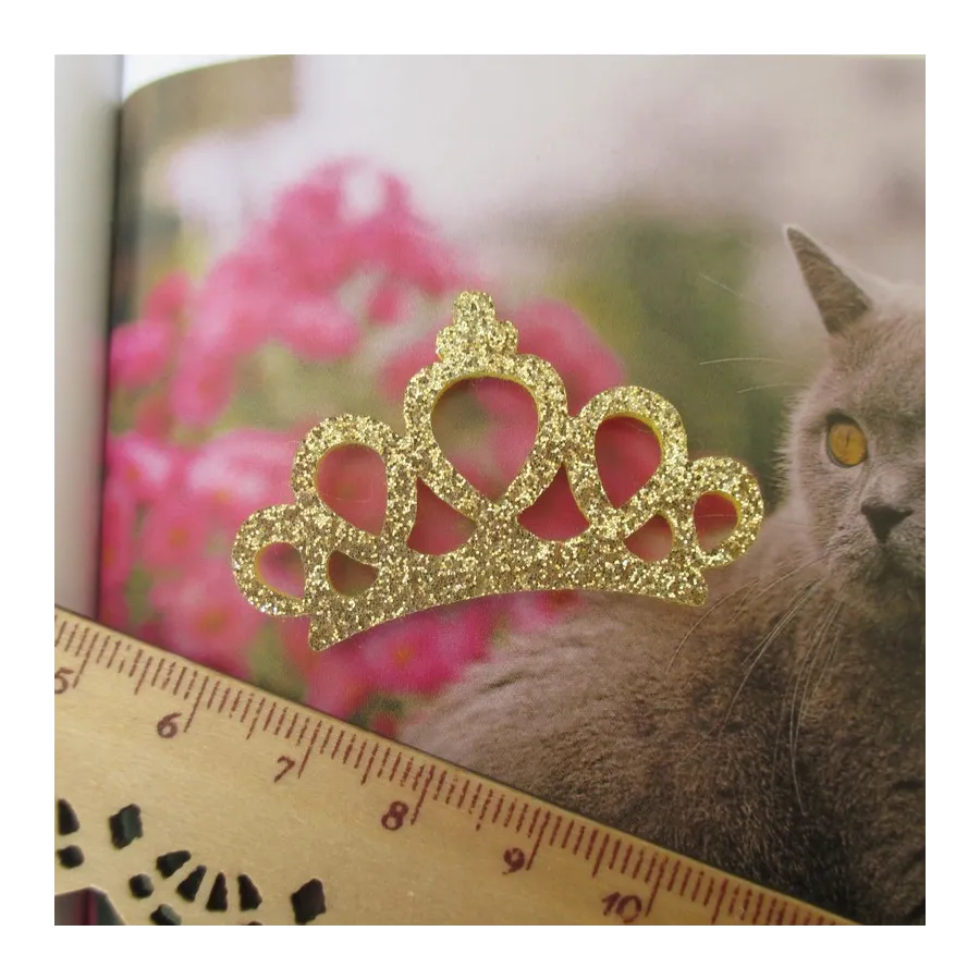 Coroa de Feltro Personalizada: Onde Comprar e Modelos Exclusivos