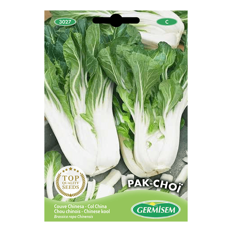 onde comprar couve chinesa fresca