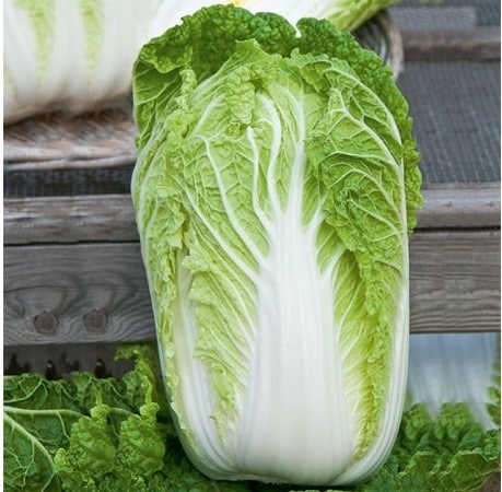 receita de charuto de couve chinesa