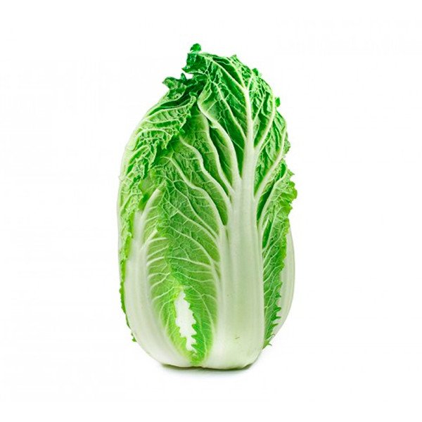 benefícios da couve chinesa para a saúde