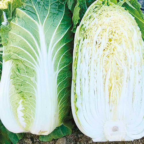 como preparar couve chinesa refogada