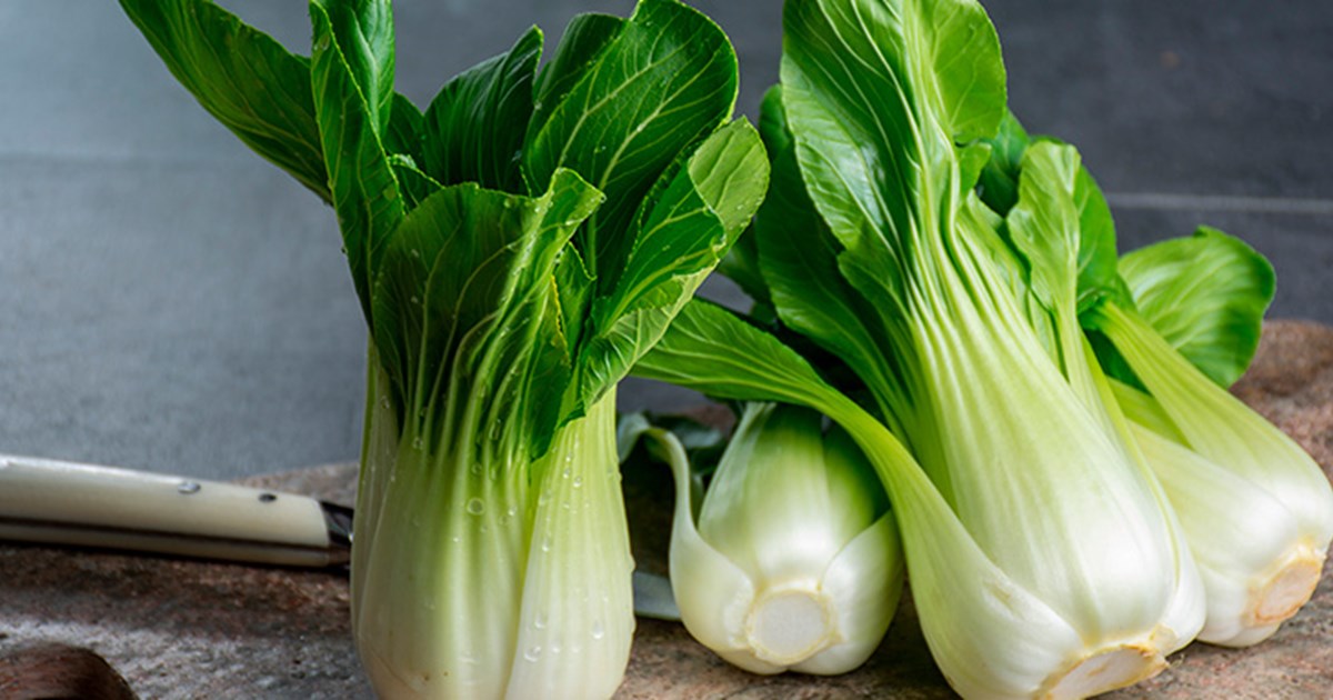 receita de charuto de couve chinesa