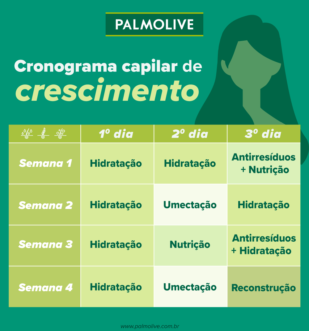 como montar cronograma capilar