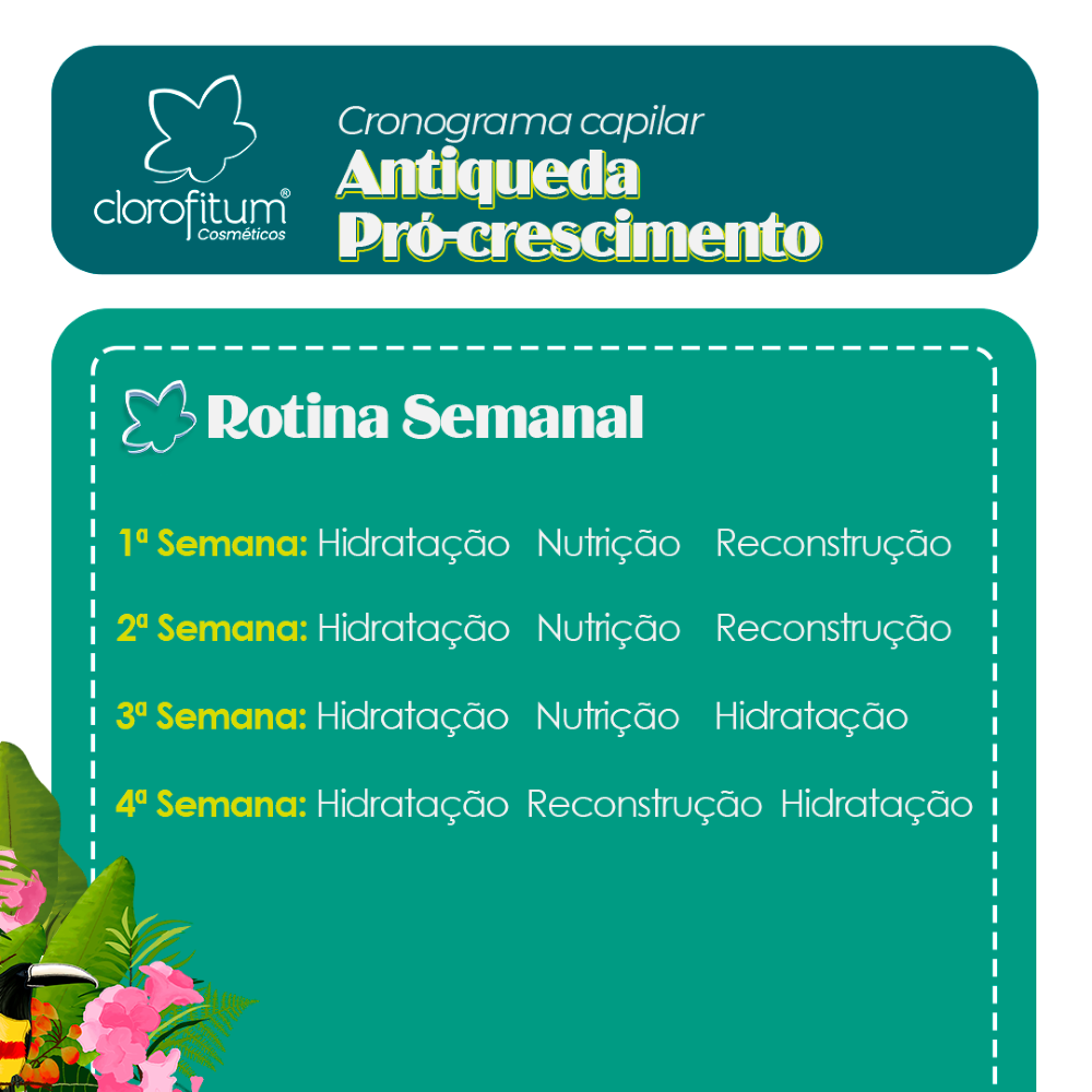 cronograma capilar para fortalecer os fios