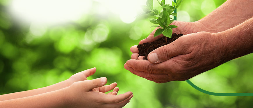 cuidado com a natureza