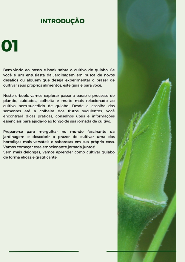 Como Resolver o Problema de Quiabo Fibroso