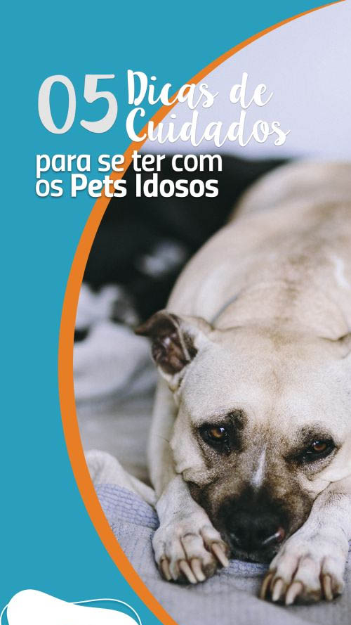 Guia Completo de Rações Sênior: Escolha a Melhor para Seu Pet
