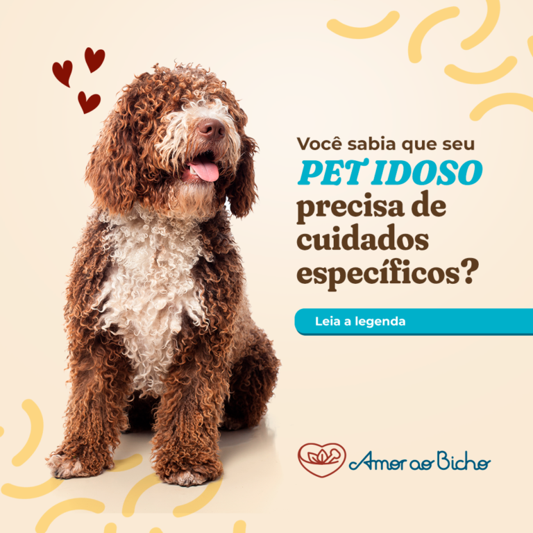 A Importância do Apoio Emocional na Velhice do Seu Companheiro Animal