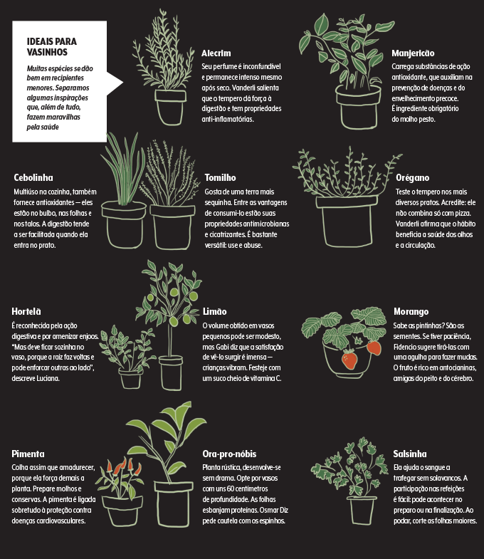 Guia Completo: Como Escolher o Vaso Ideal para Cada Tempero