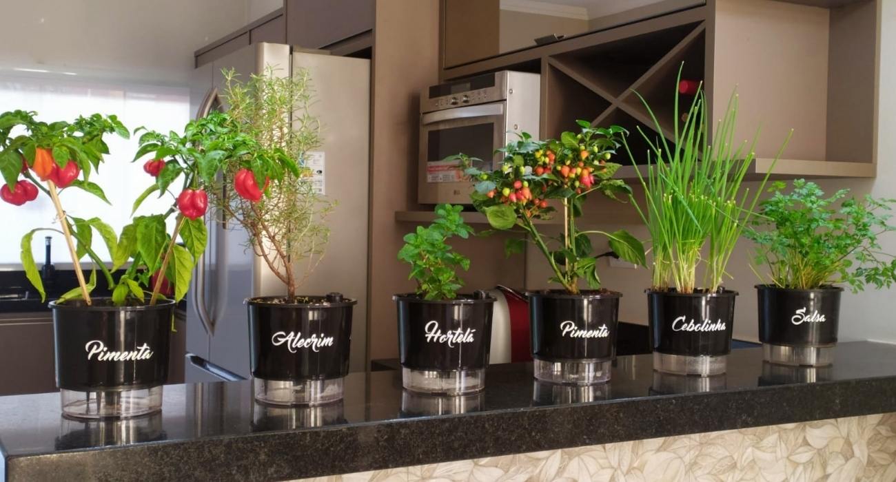 5 Erros Comuns ao Cultivar Temperos em Casa e Como Evitá-los