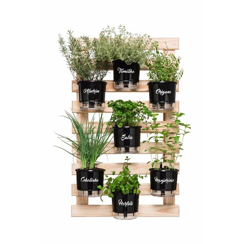 Como Proteger Sua Horta de Temperos de Pragas de Forma Natural