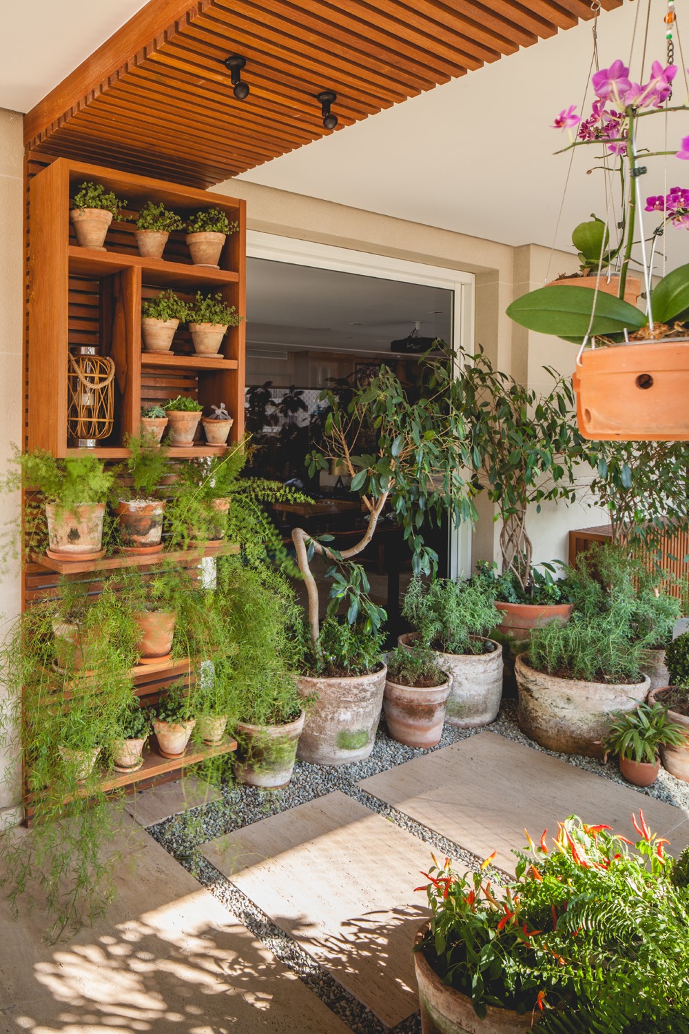 cultivo de temperos em vaso