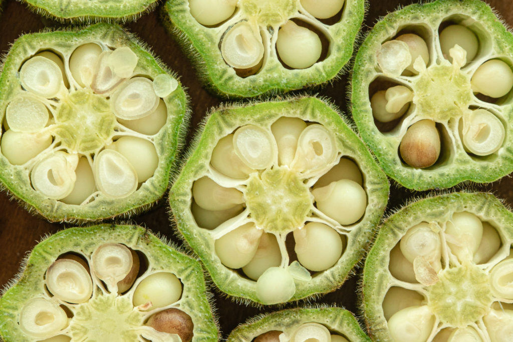 A História do Quiabo: De Planta Africana a Ingrediente Brasileiro