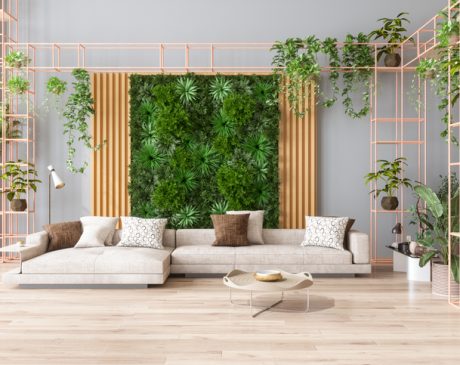 design biofílico para casas pequenas