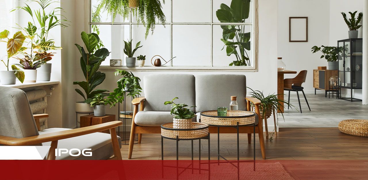 como aplicar biofilia na decoração de escritórios