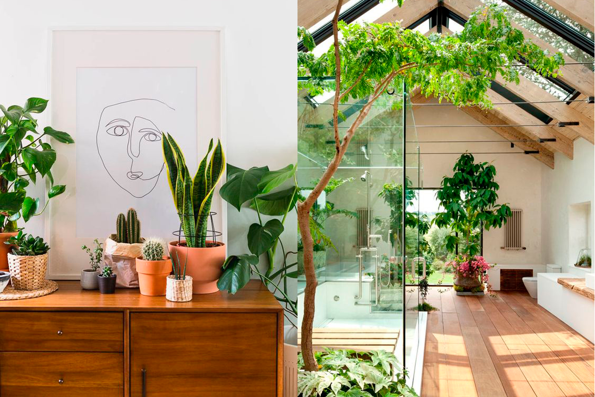 benefícios do design biofílico no trabalho